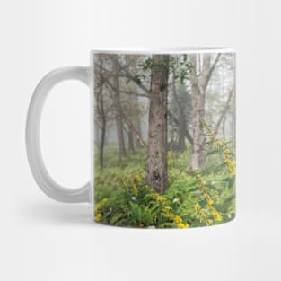 Once Upon A Time Mug